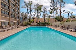 Outdoor pool, sun loungers