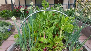 Jardin