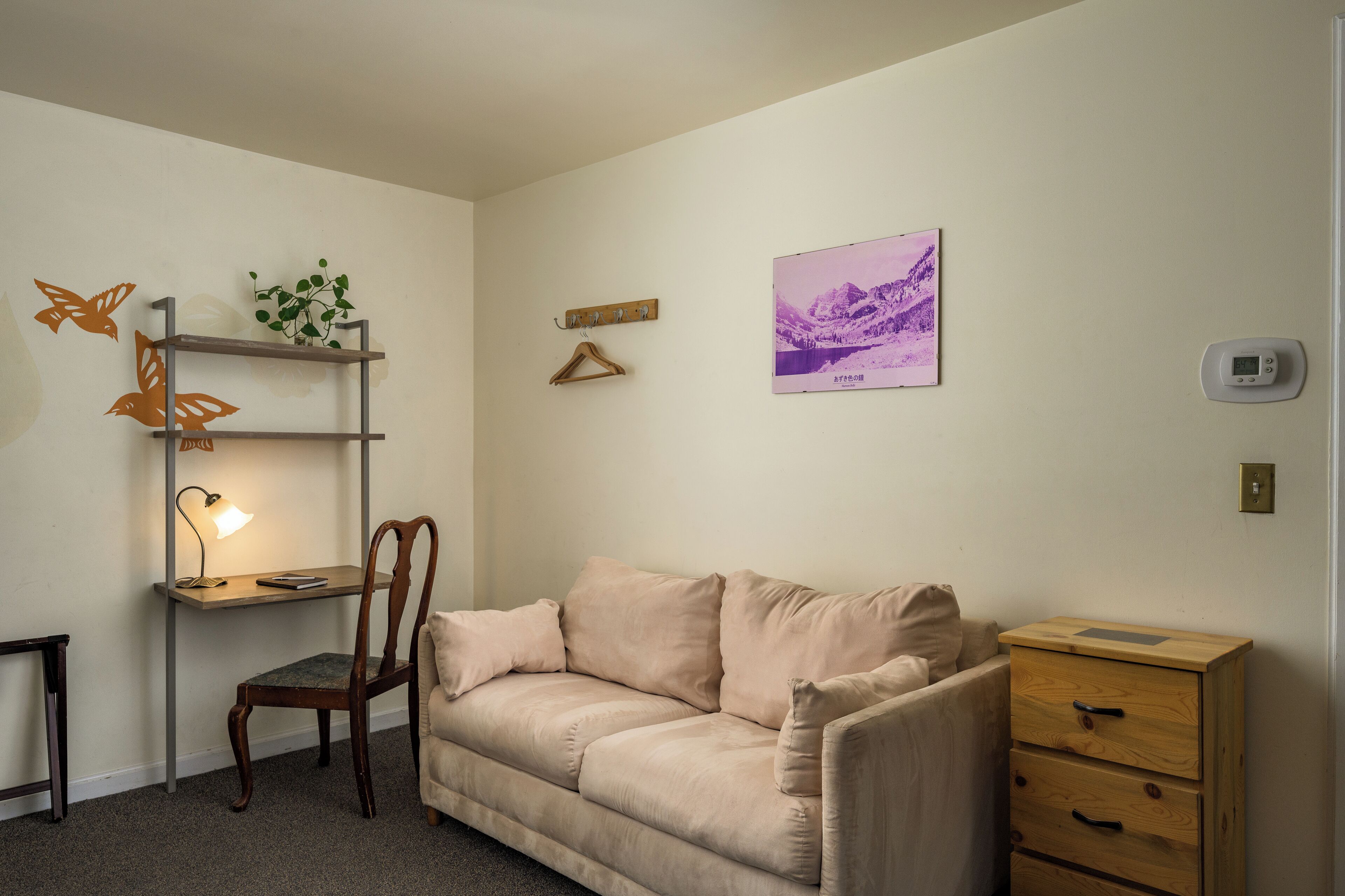 A room with a beige sofa, a wooden desk with a lamp, a chair, a small wooden cabinet, a wall-mounted shelf with a plant, and a framed picture.