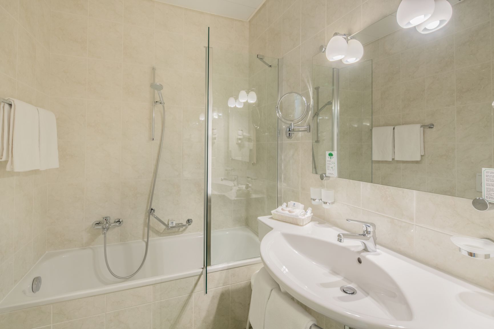 executive room, 1 single bed, partial lake view (balcony) | bathroom | free toiletries, hair dryer, towels