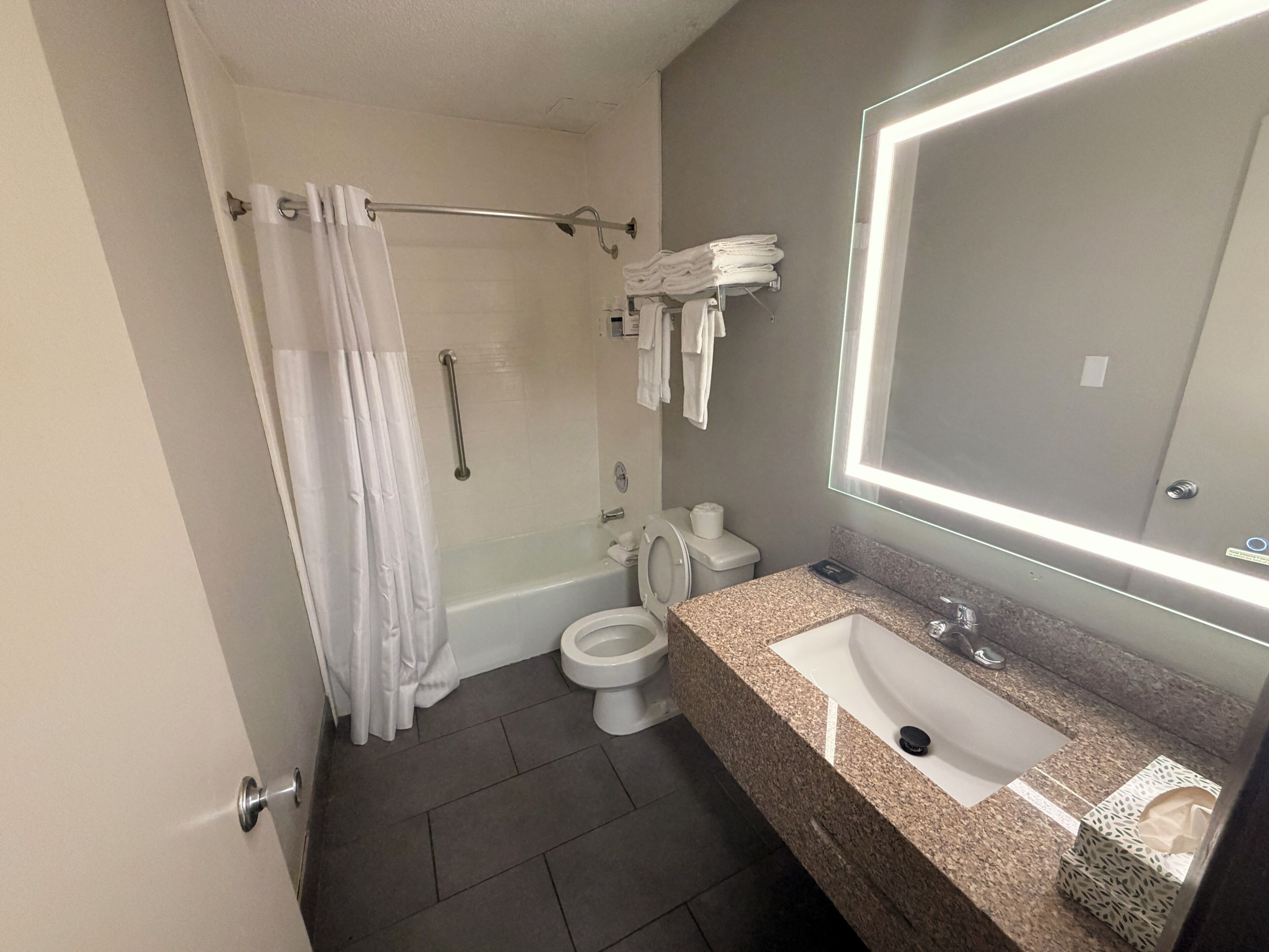 Een badkamer met douche, toilet, wastafel en een grote spiegel.