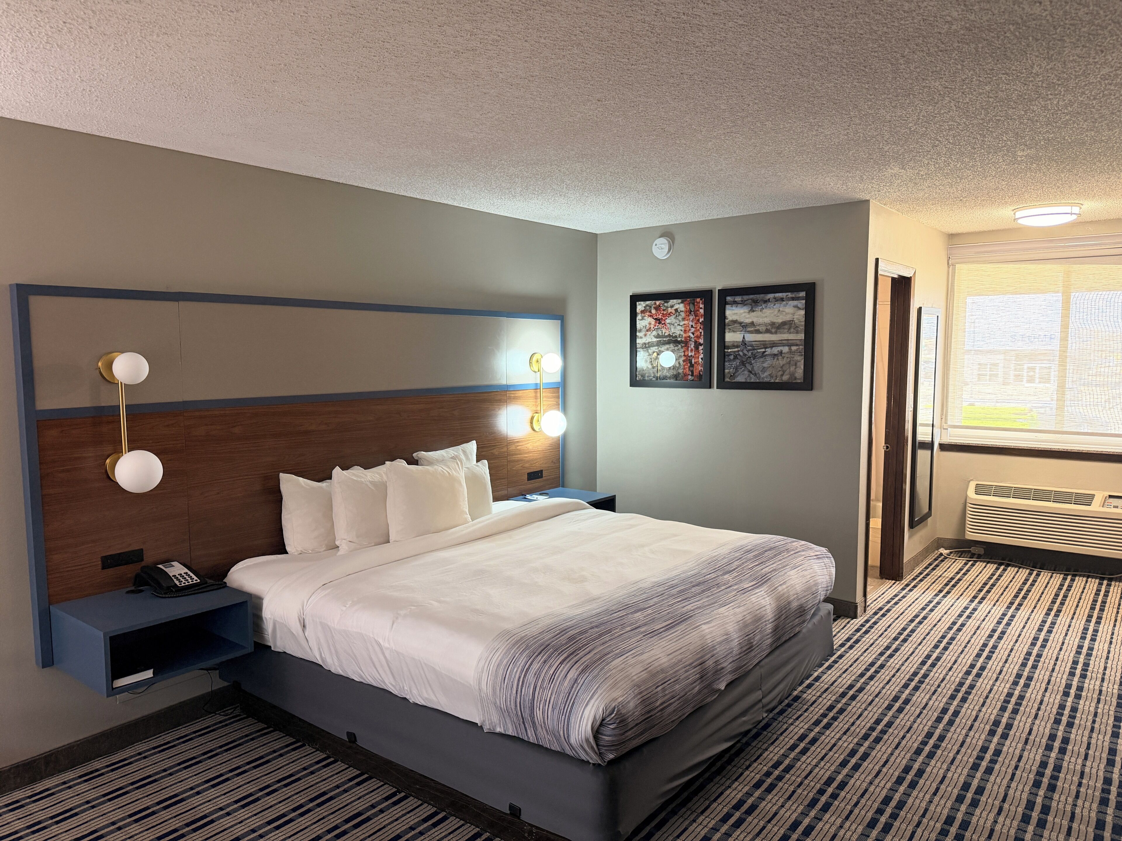 Room, 1 King Bed, Non Smoking, Pool View | Premium bedding, pillow-top beds, laptop workspace, blackout curtains