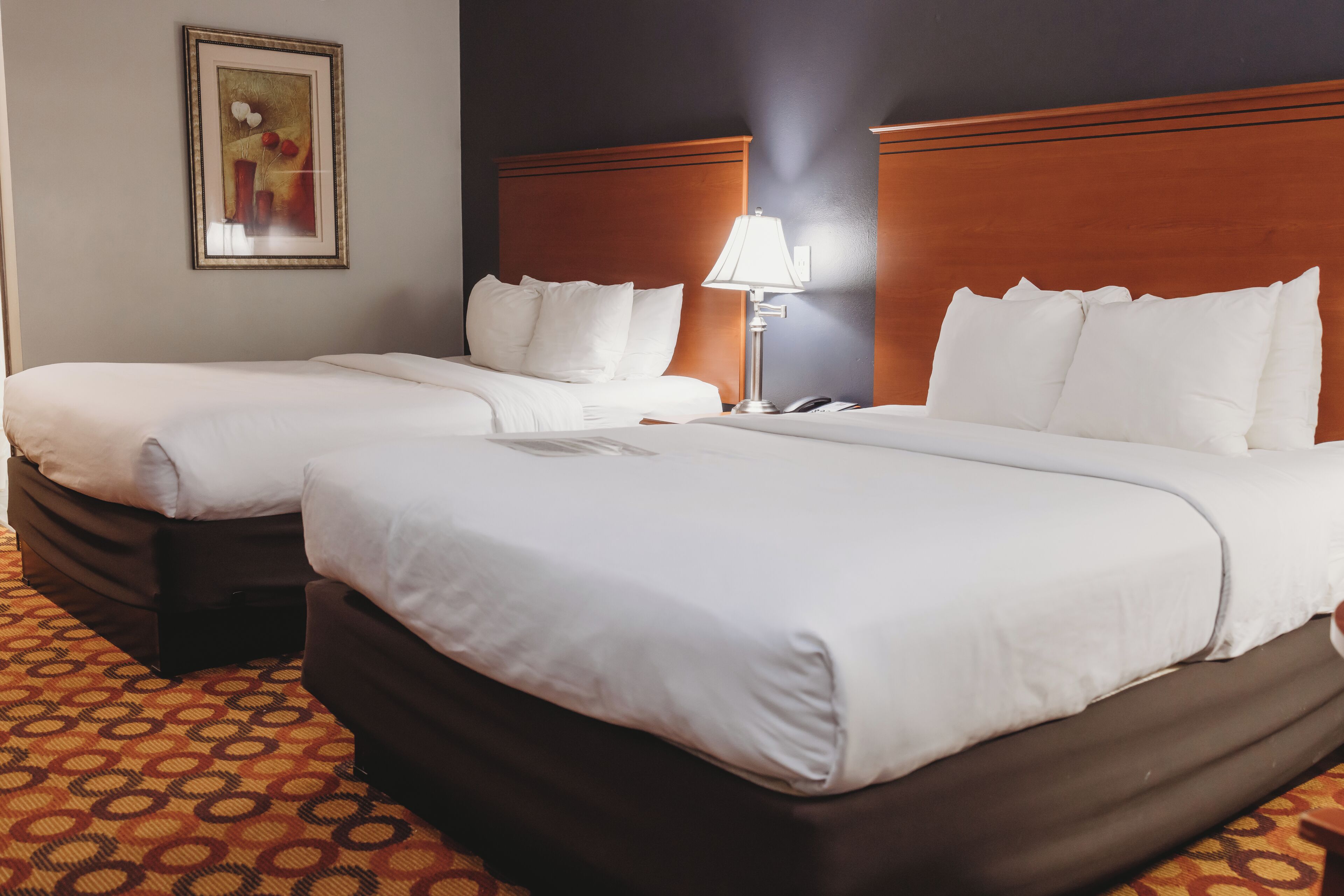 Clarion pillows hot sale