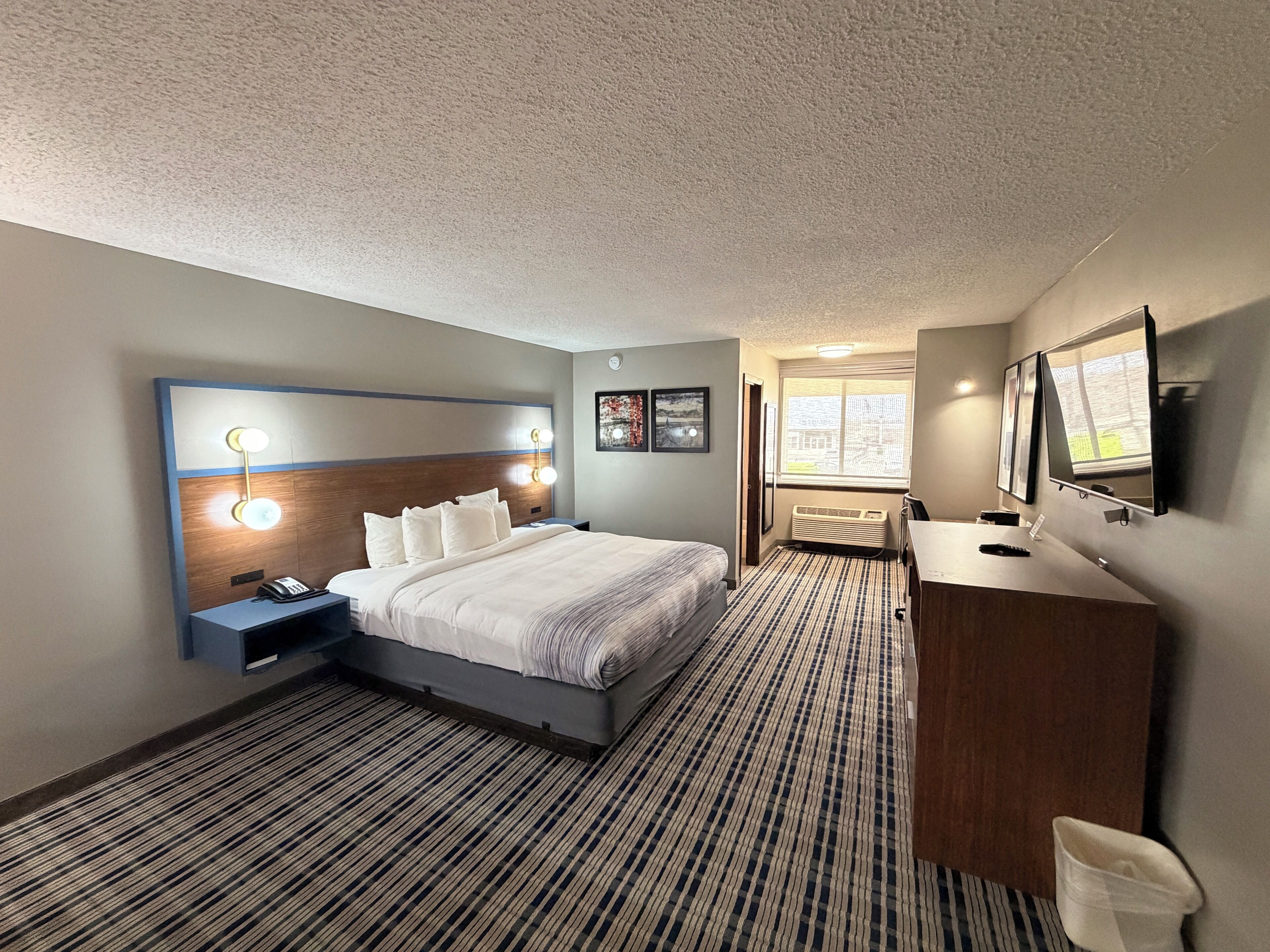 Room, 1 King Bed, Non Smoking, Pool View