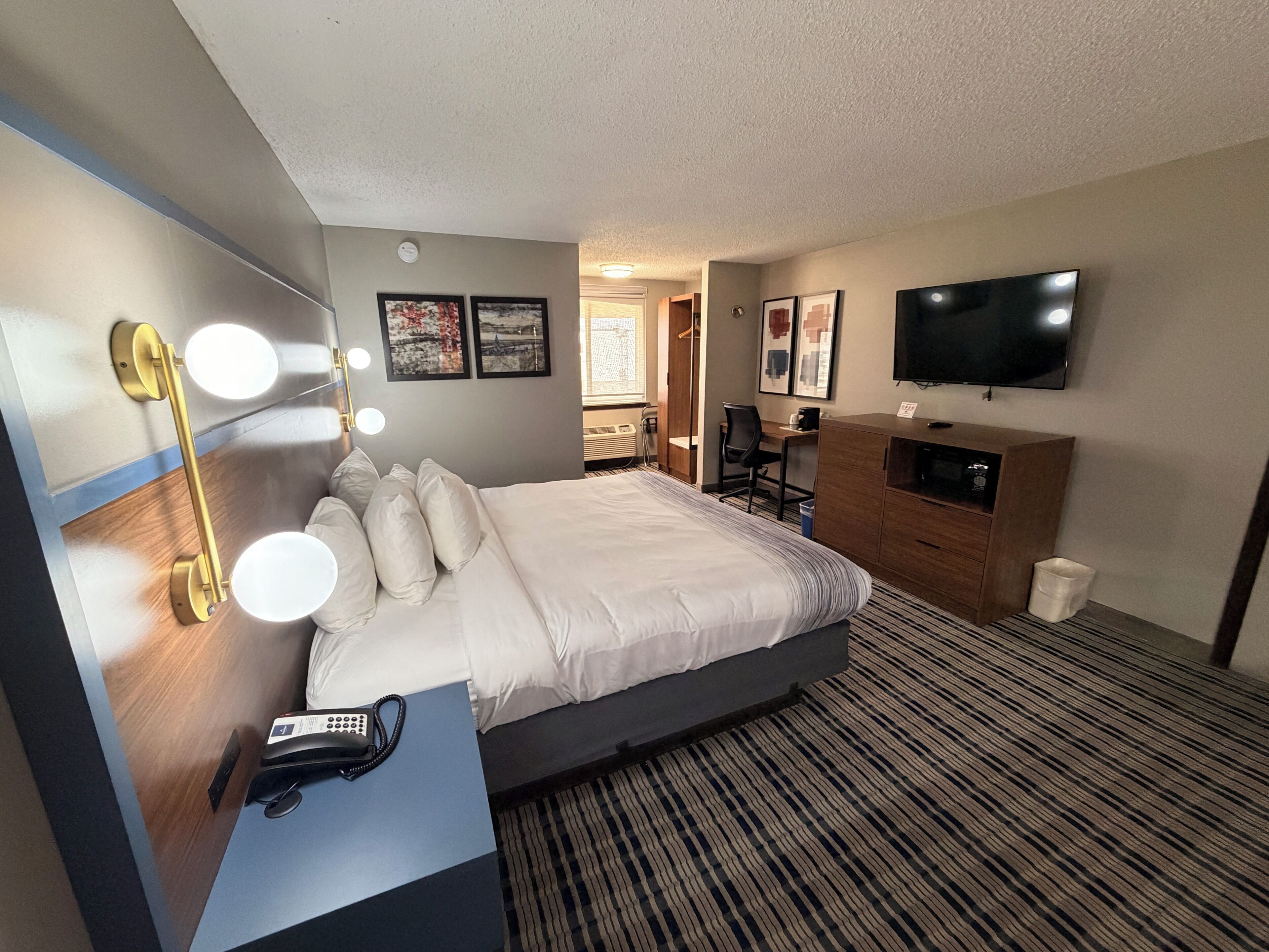 A hotel room with a bed, bedside lamp, desk with a phone, TV, and a small trash bin.