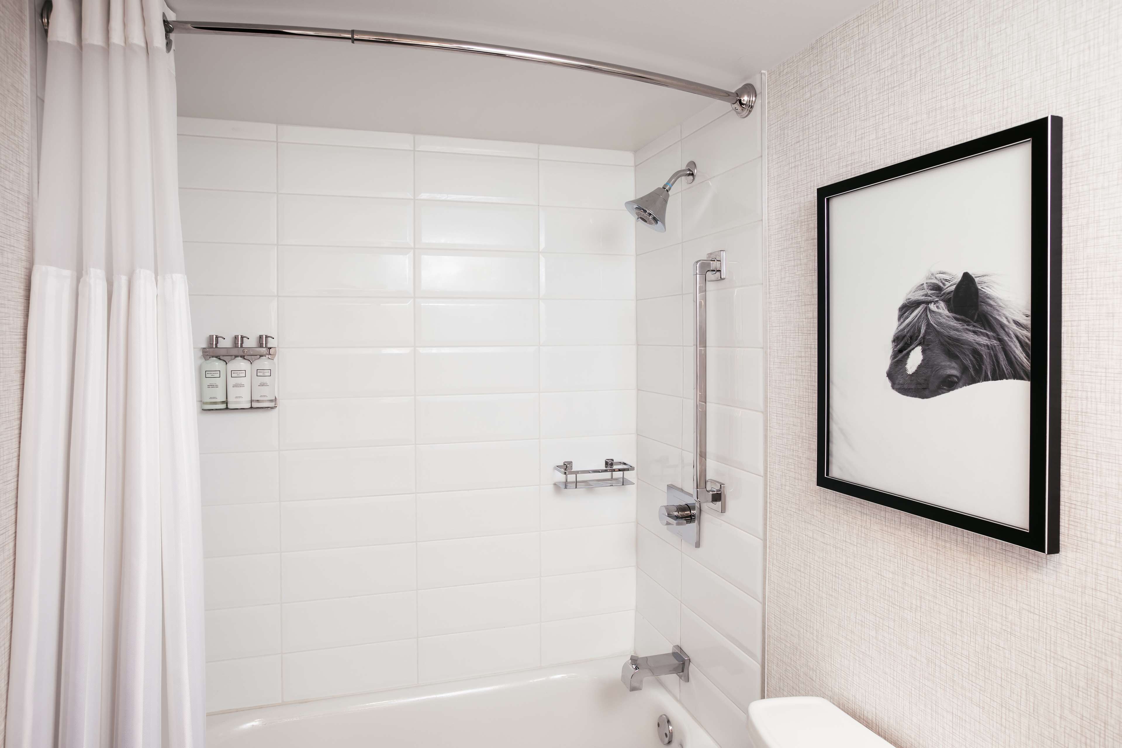 combined shower/bathtub, free toiletries, hair dryer, towels