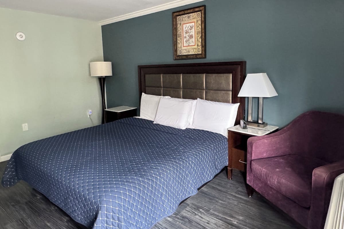 Deluxe Single Room | 1 bedroom, desk, iron/ironing board, free WiFi