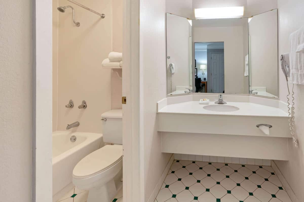 combined shower/bathtub, free toiletries, hair dryer, towels