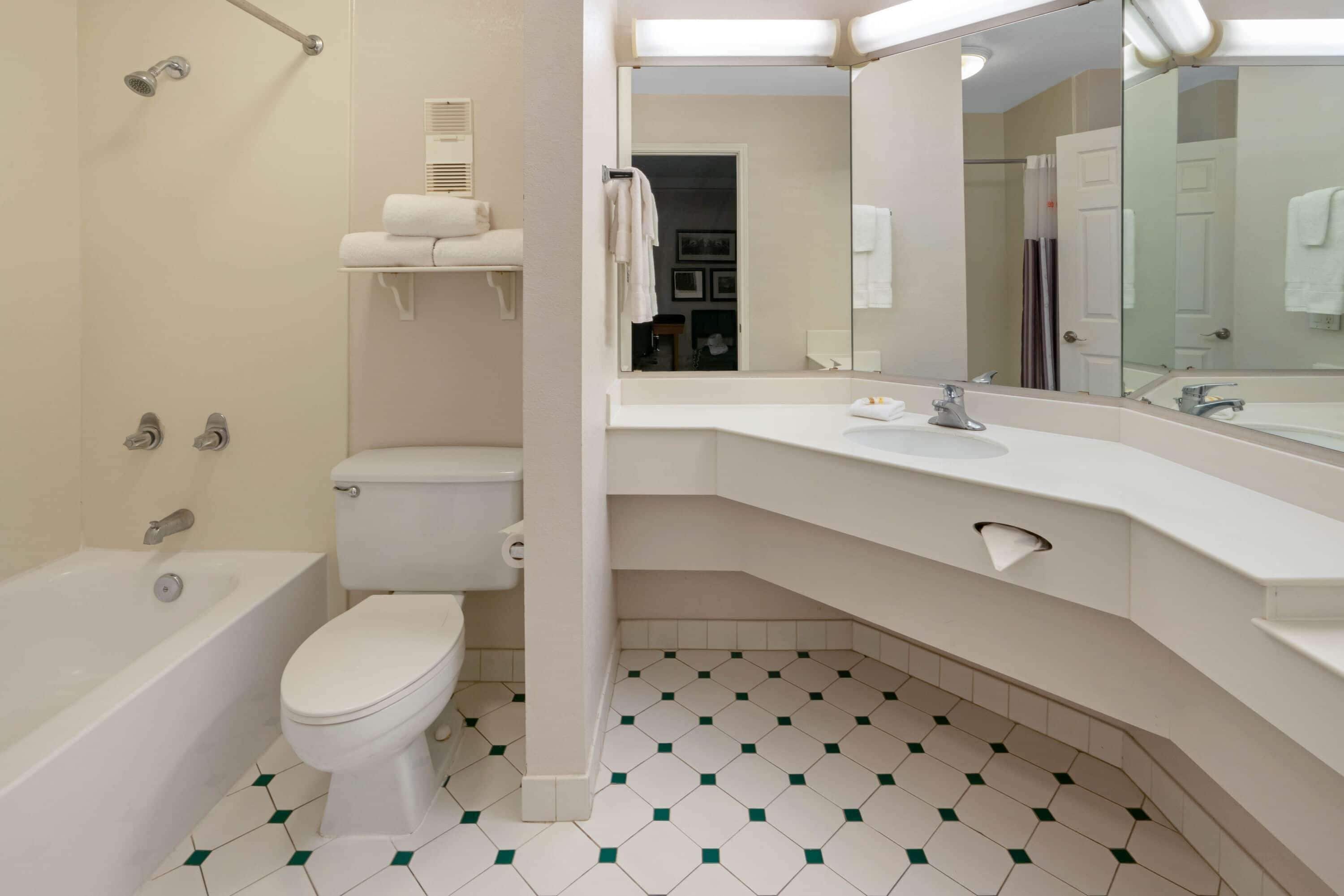 combined shower/bathtub, free toiletries, hair dryer, towels