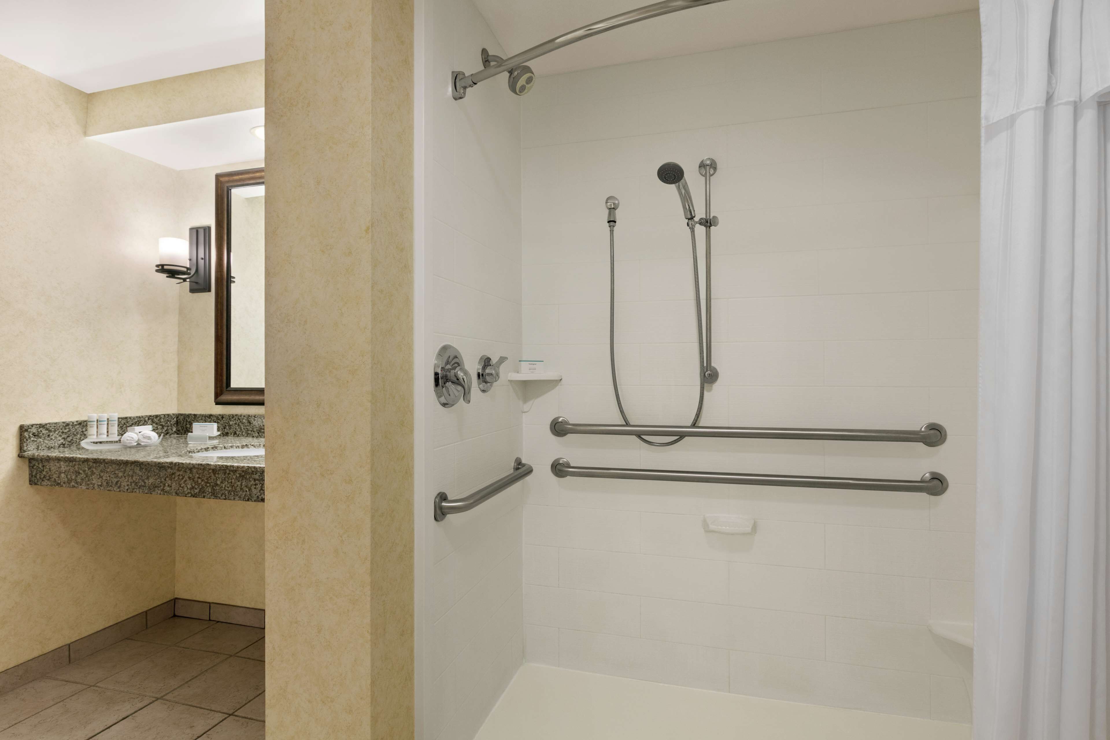 Suite, 1 King Bed, Accessible (Roll-In Shower) | Bathroom shower