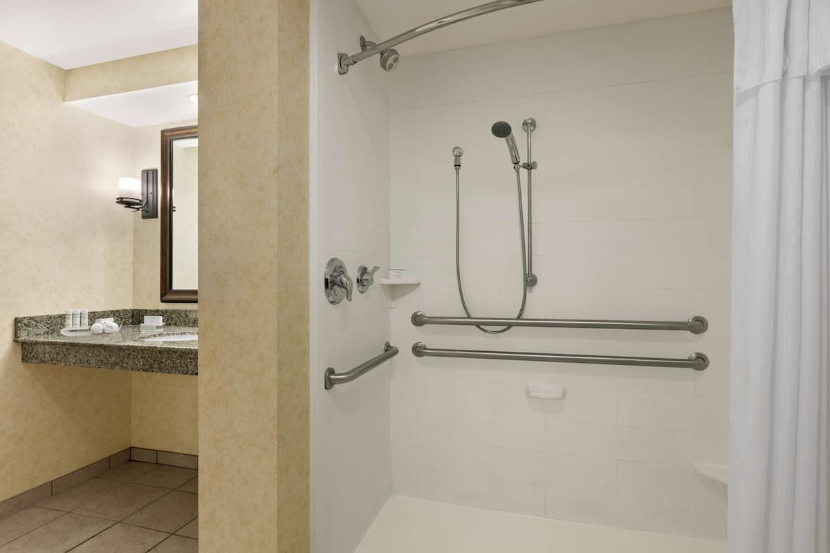 Suite, 1 King Bed, Accessible (Roll-In Shower) | Bathroom shower