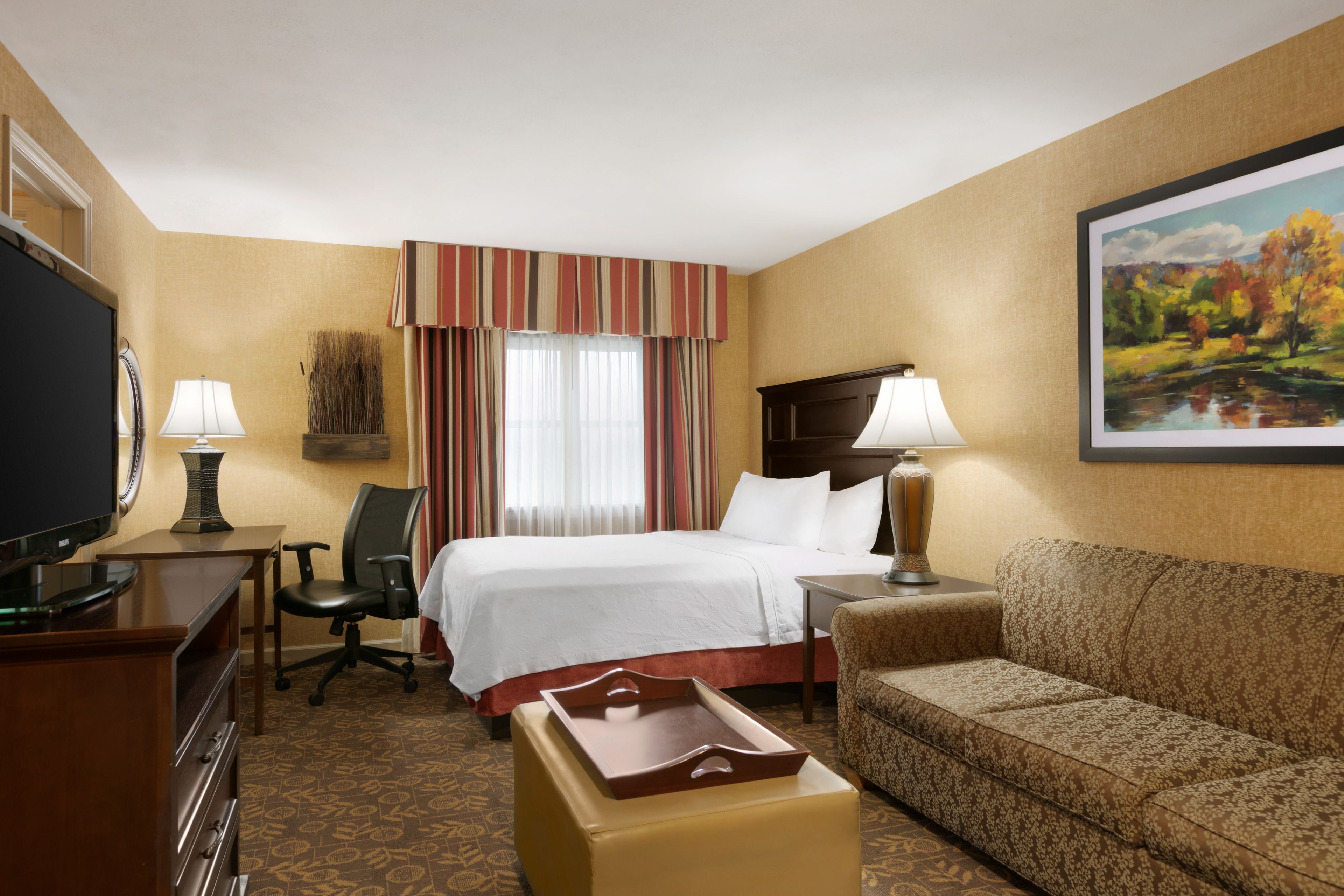 Televisión LCD, reproductor de DVD, películas con cargo