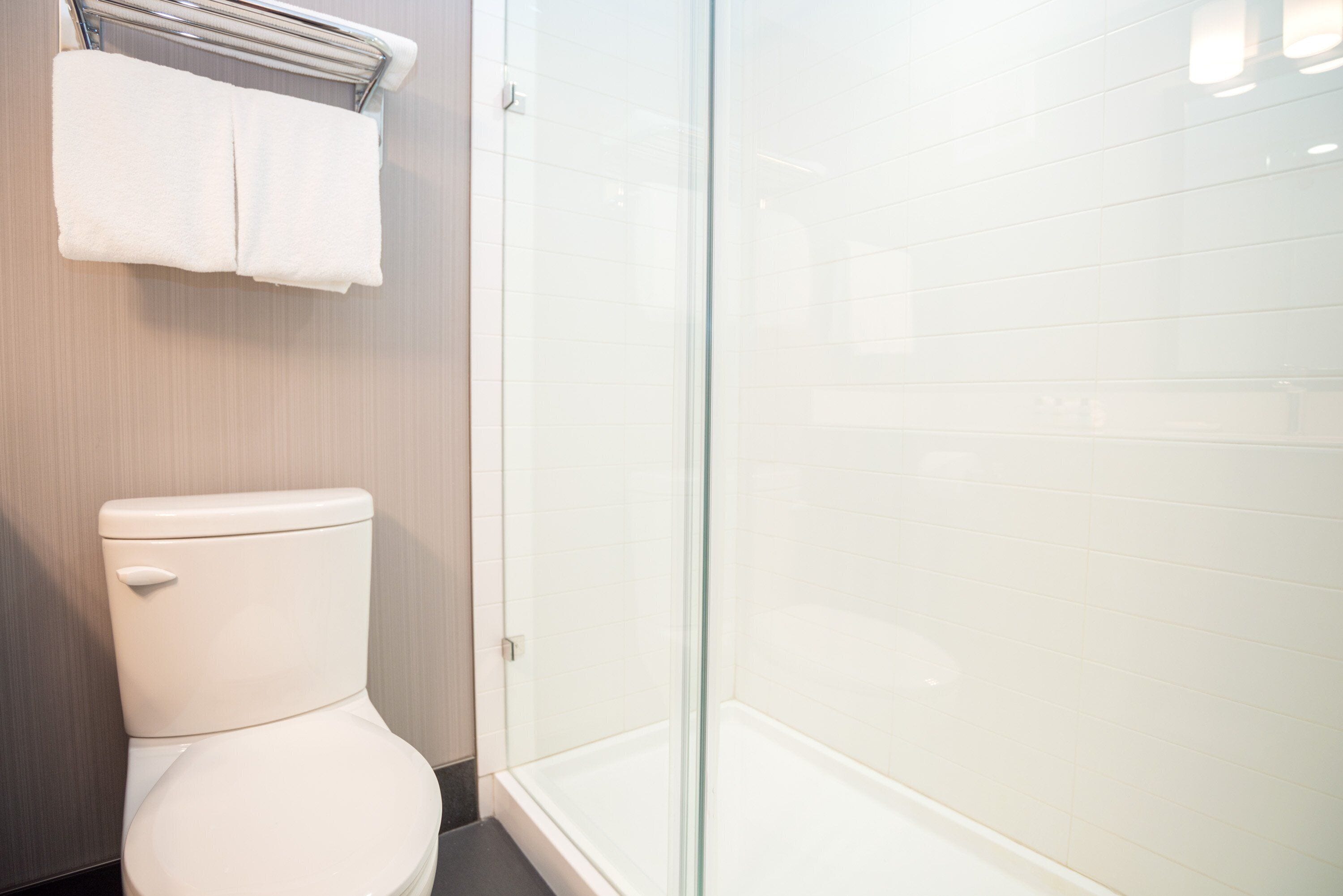 A bathroom with a toilet, a glass shower enclosure, and a towel rack.