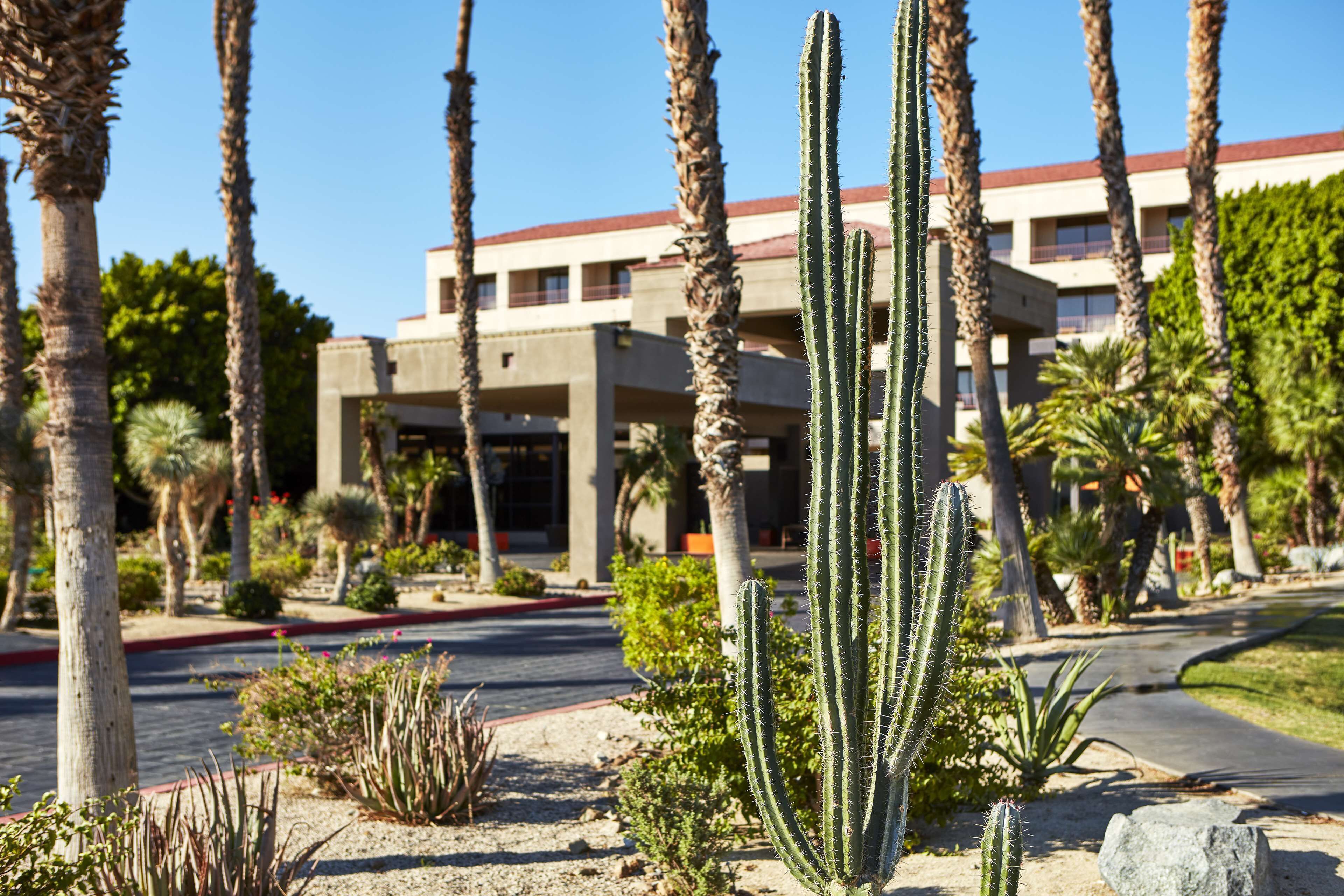 A desert landscape with cacti and palm trees, a building with a red roof, and a clear blue sky.
