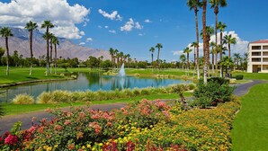 A golf course with a pond, palm trees, and a building in the background. - DoubleTree by Hilton Hotel Golf Resort Palm Springs (Cathedral City)