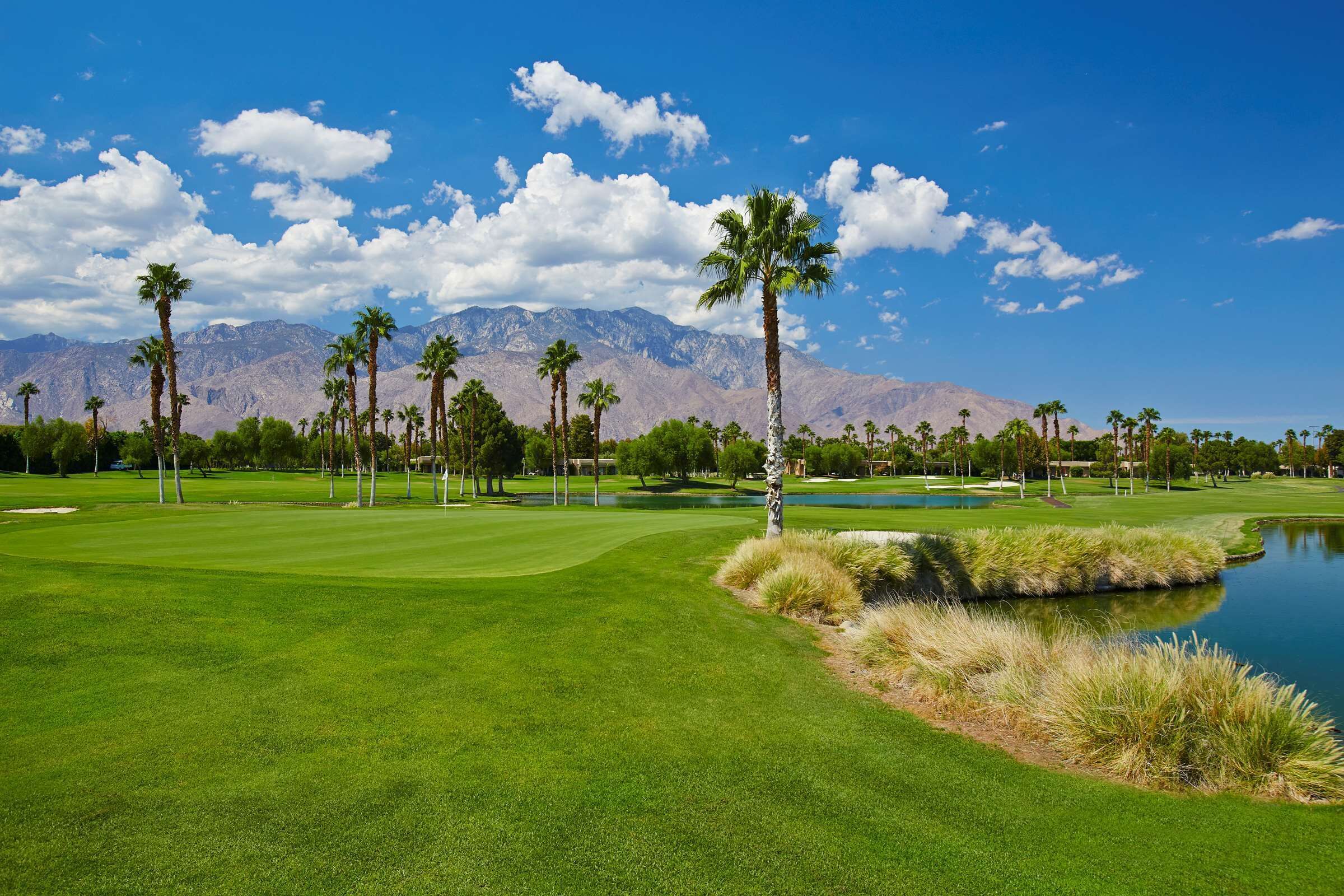Un parcours de golf avec un étang, des palmiers et des montagnes en arrière-plan.