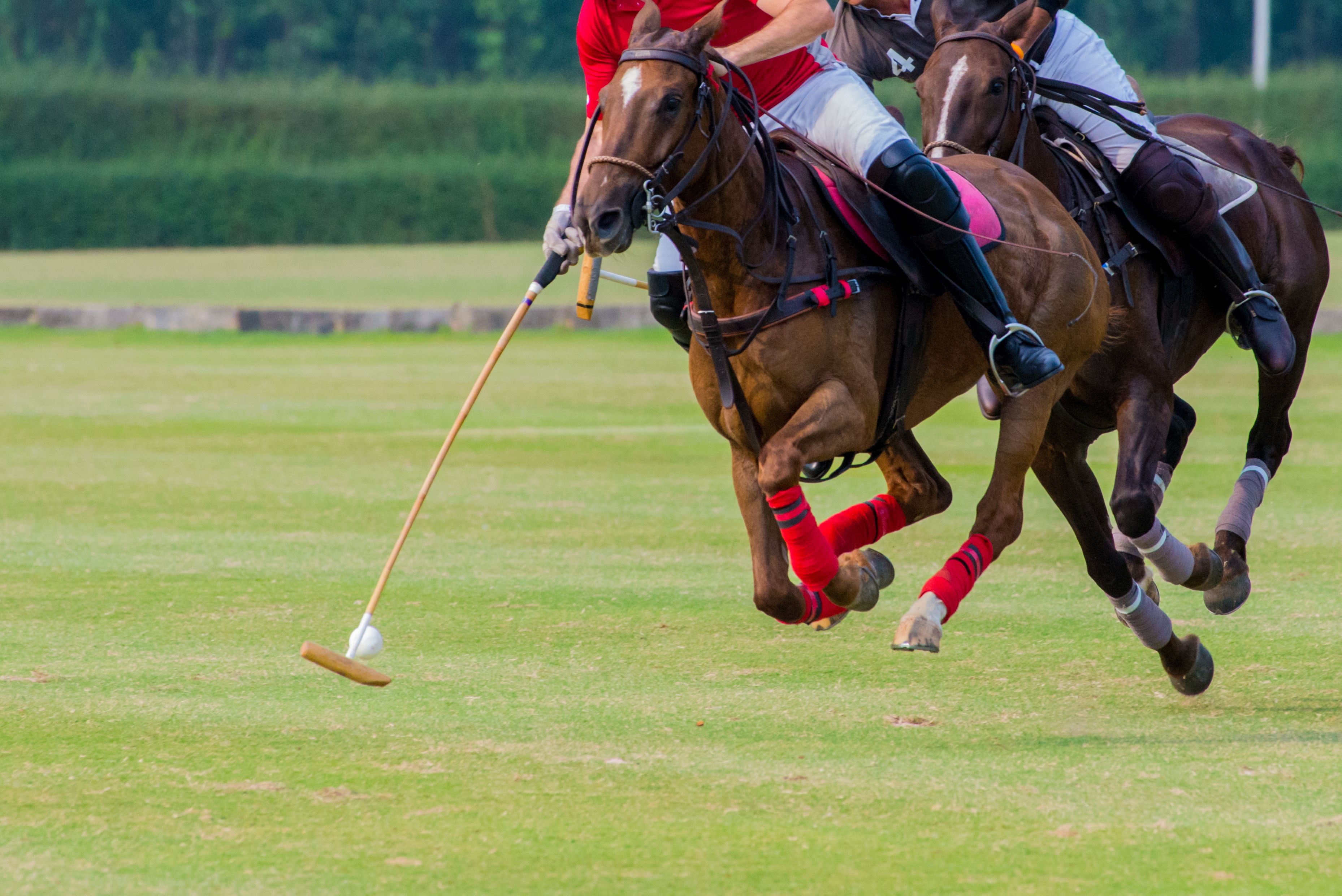 A horse race with jockeys on horseback.