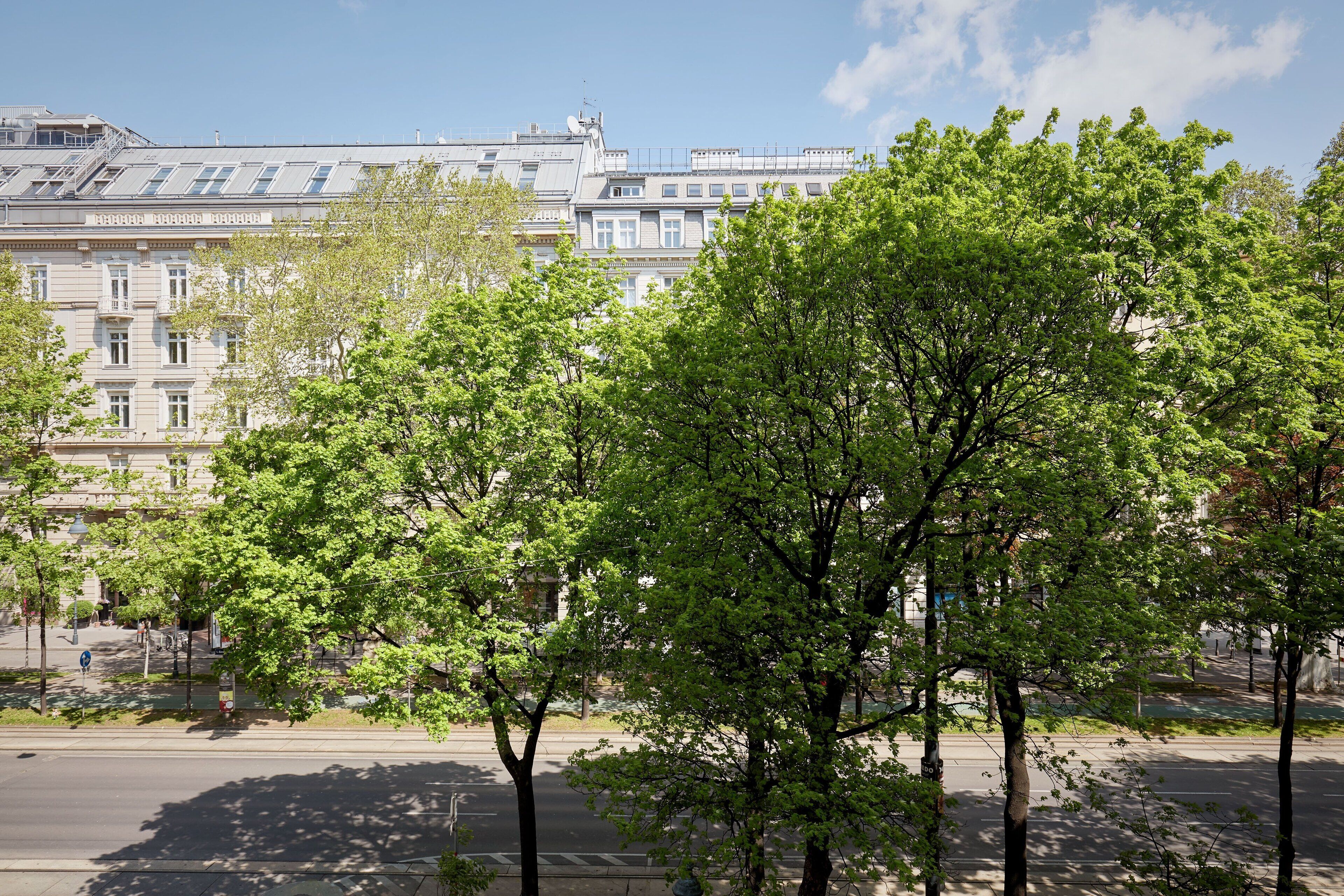 Straatbeeld met een rij bomen op de voorgrond en een rij gebouwen verderop.
