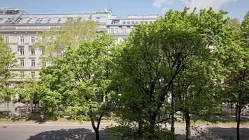Straatbeeld met een rij bomen op de voorgrond en een rij gebouwen verderop.