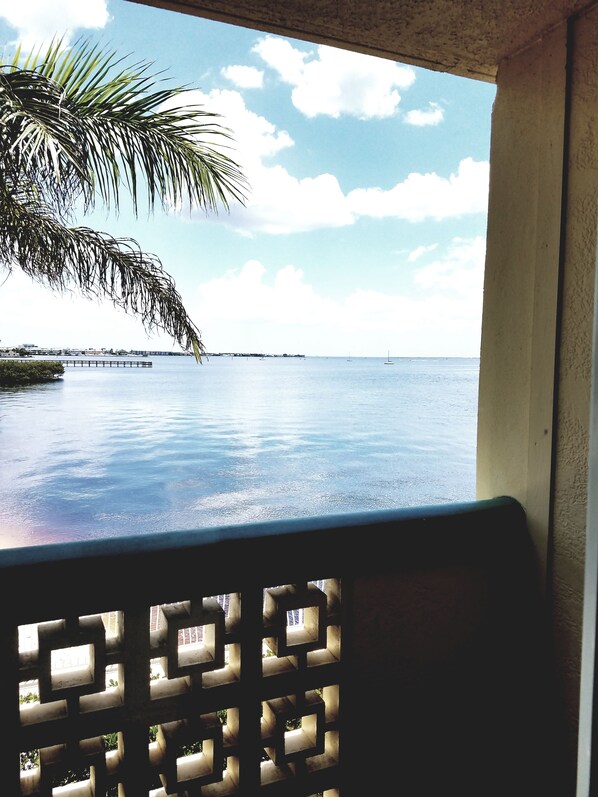 View from room