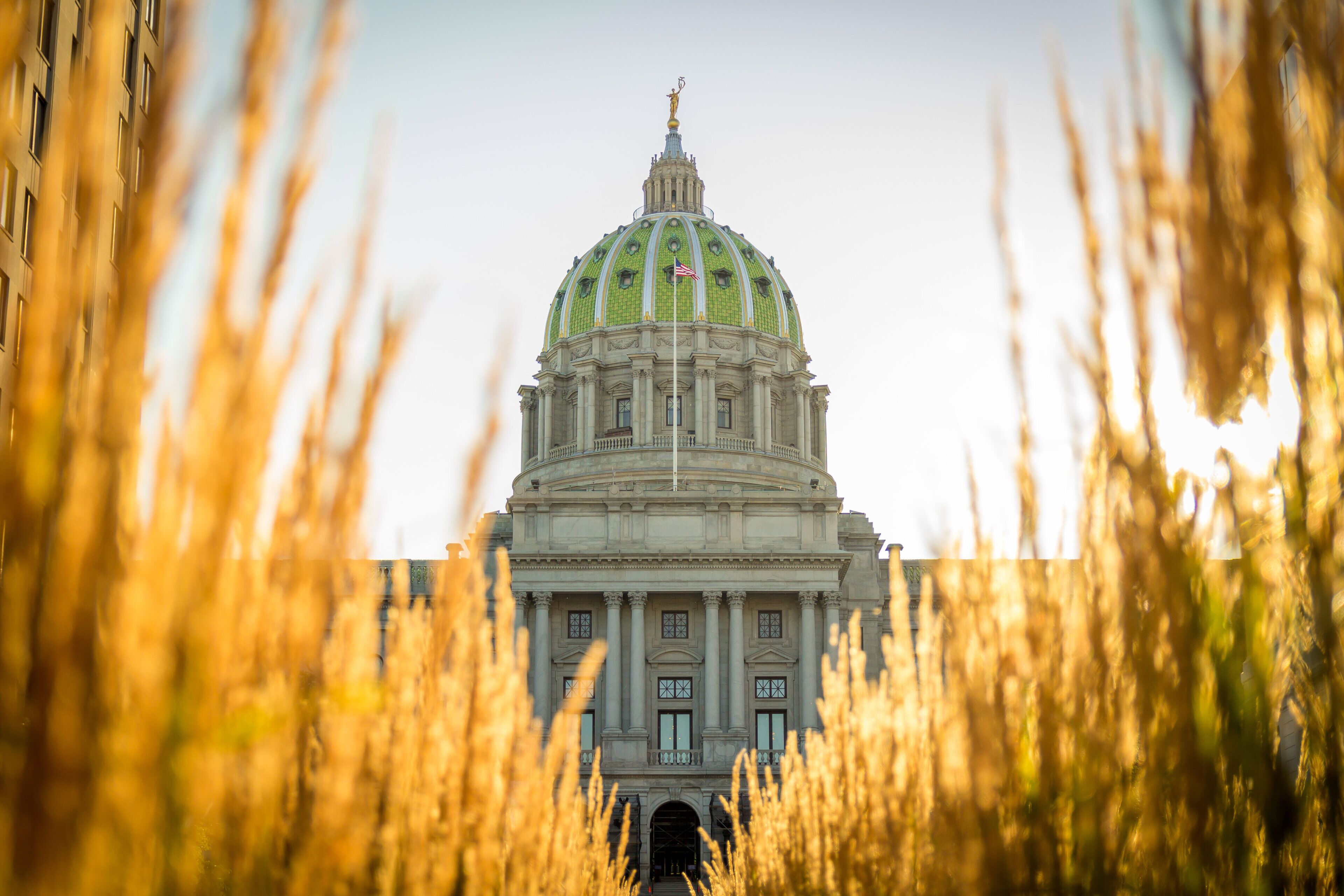 A large building with a prominent dome and columns, surrounded by tall grass.