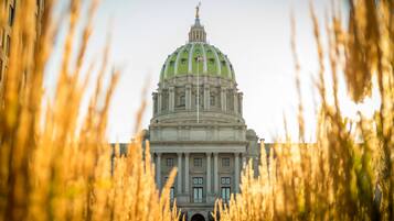 A large building with a prominent dome and columns, surrounded by tall grass.