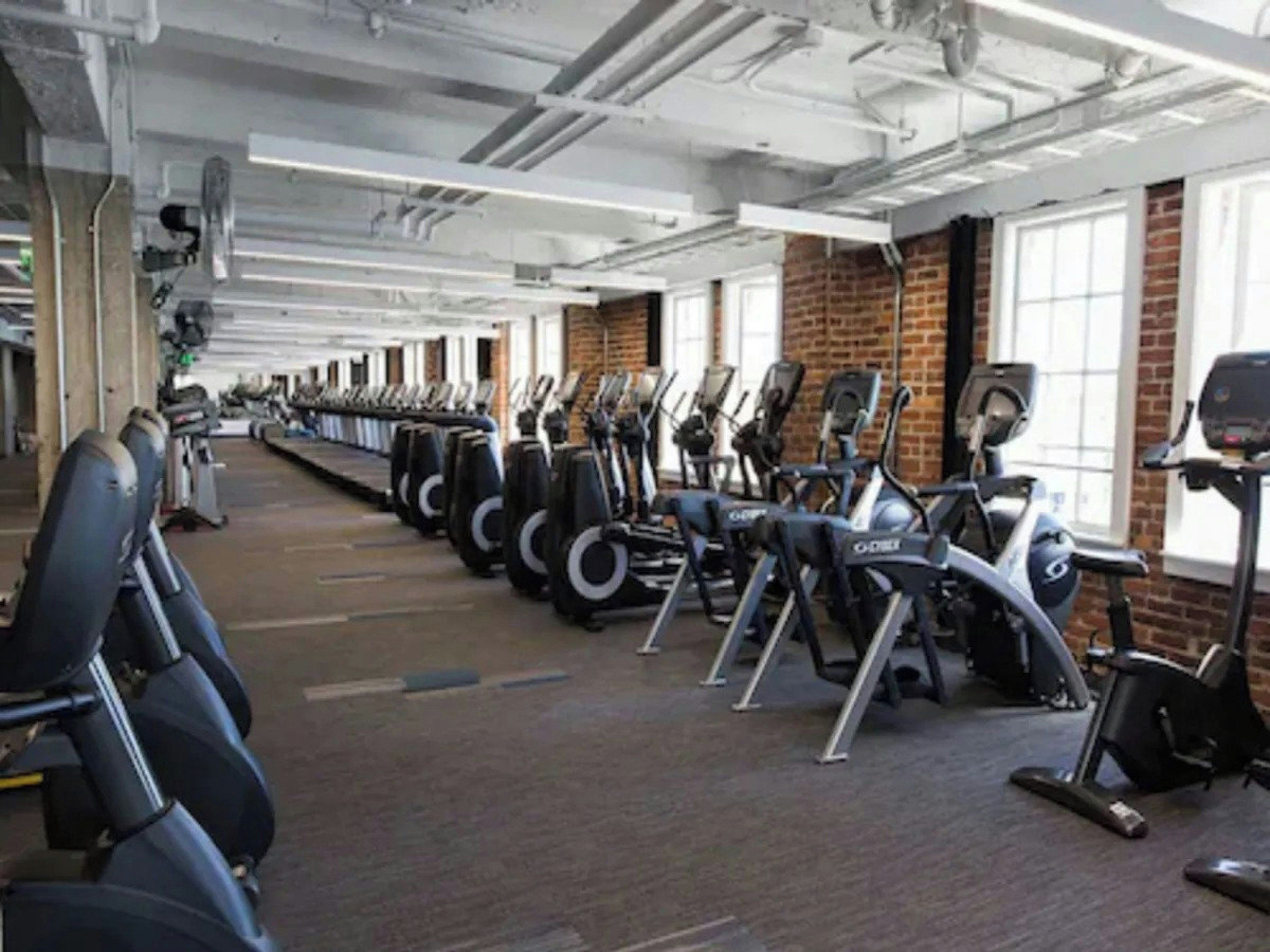 Ein Fitnessstudio mit Reihen von Ergometerbikes und Laufbändern, Ziegelwänden und großen Fenstern.