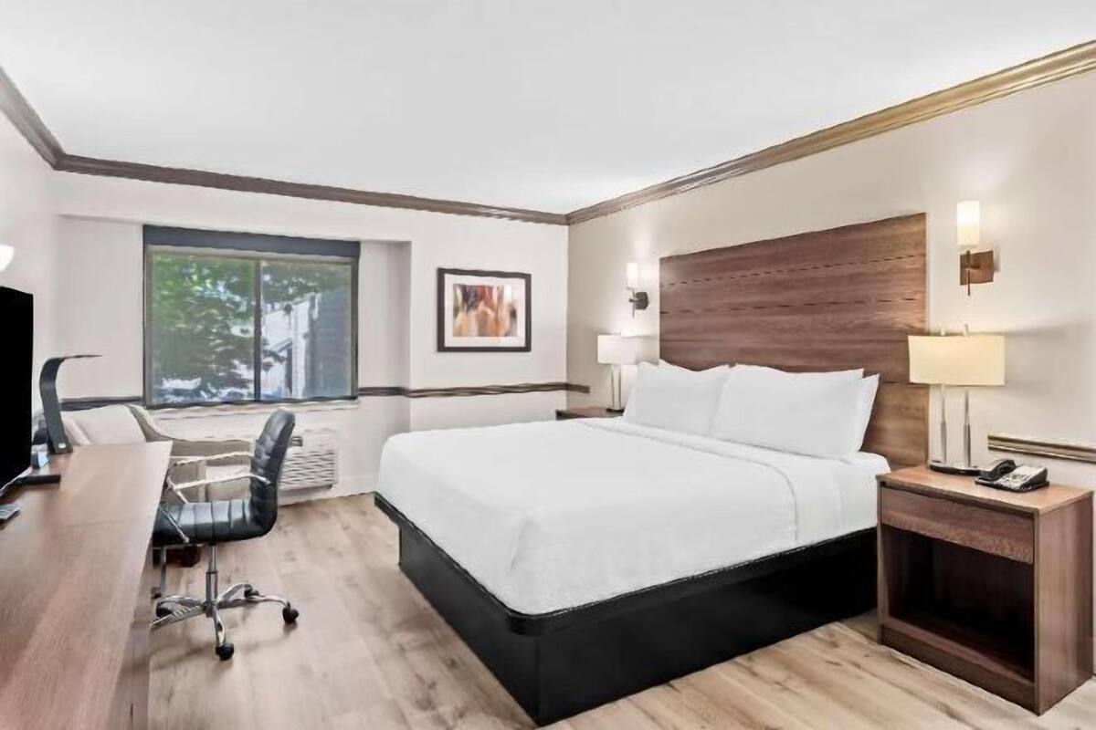 A hotel room with a bed, desk, chair, bedside lamps, and a window.