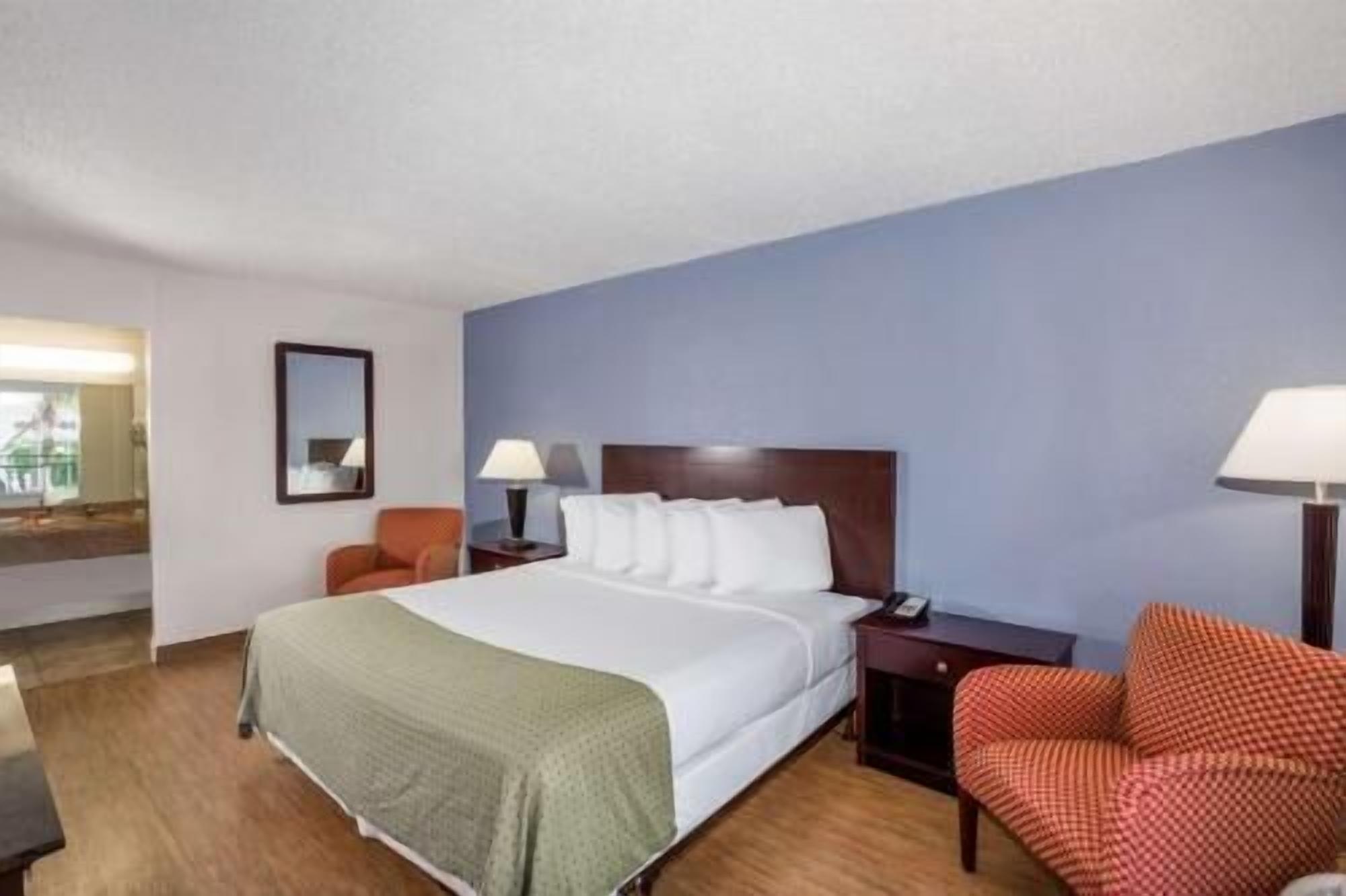 Premium bedding, individually decorated, individually furnished, desk