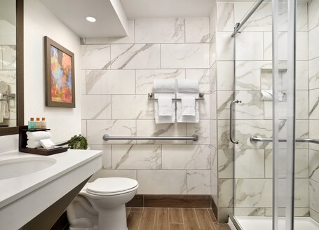 Buena Vista Suites Orlando - Image 6