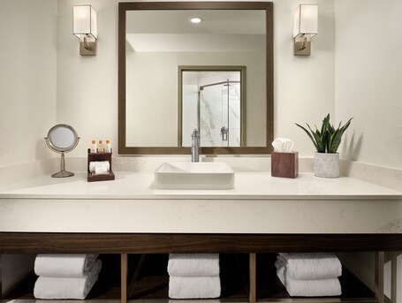 Buena Vista Suites Orlando - Image 16