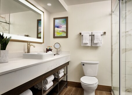 Buena Vista Suites Orlando - Image 29