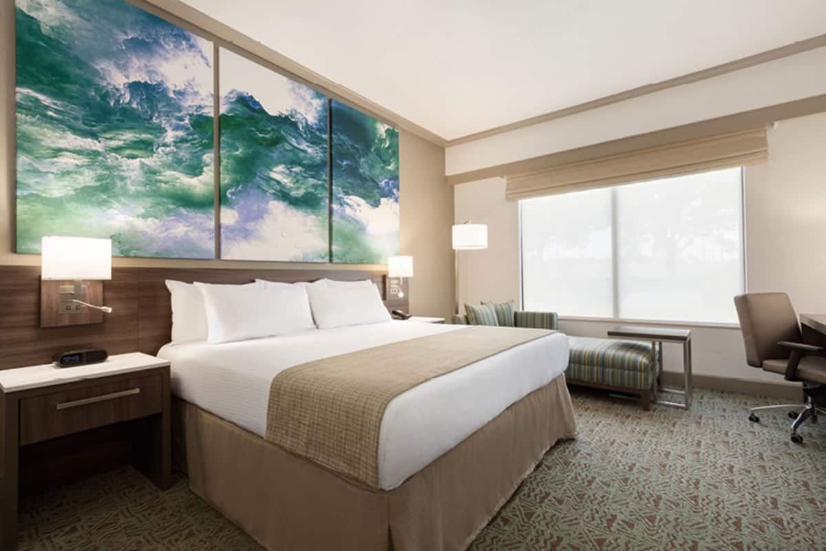 1 bedroom, hypo-allergenic bedding, in-room safe, desk