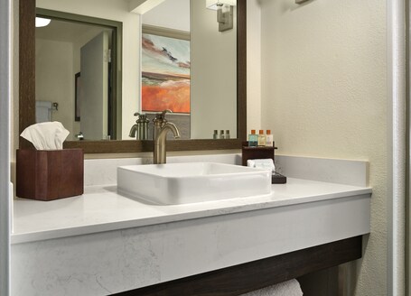 Buena Vista Suites Orlando - Image 13