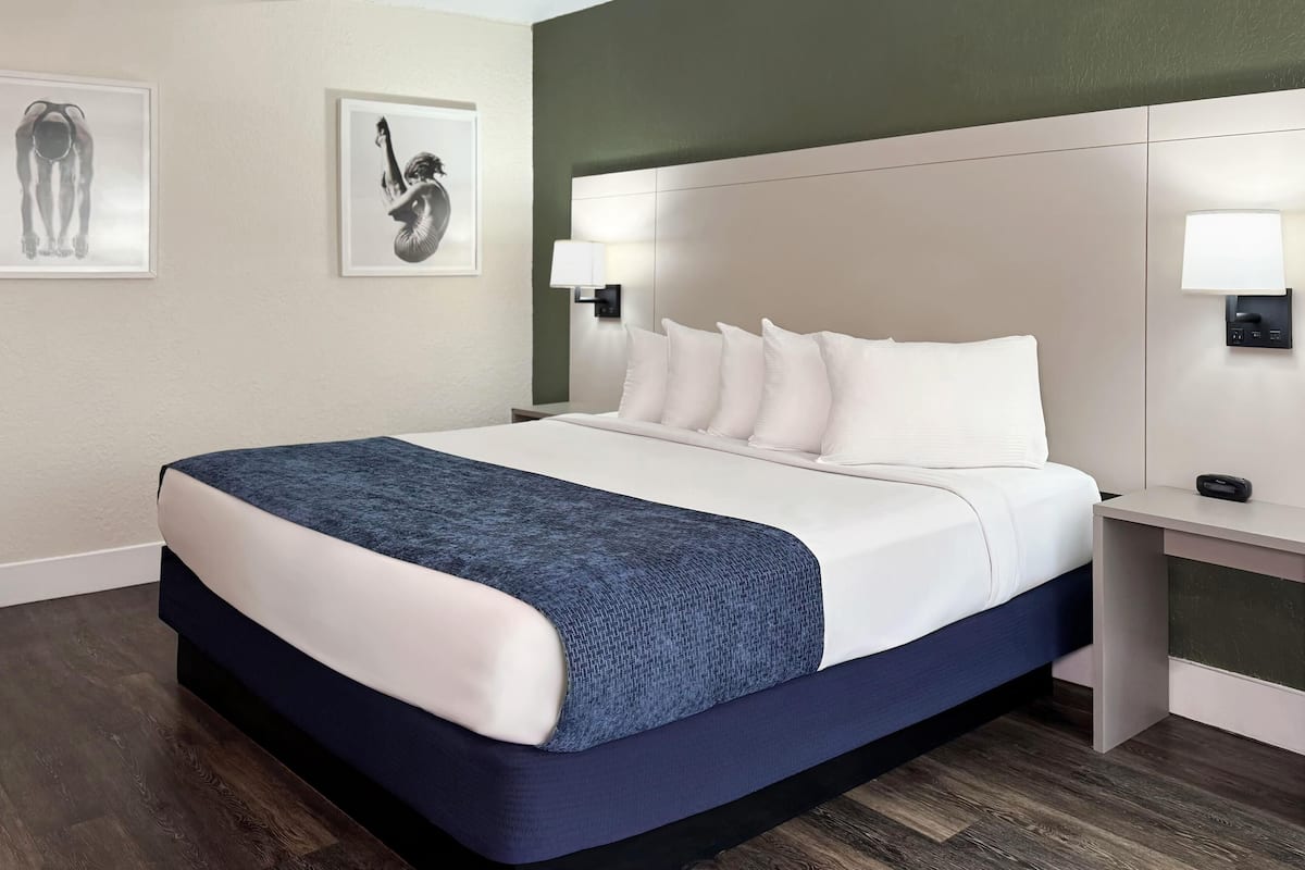 Room, 1 King Bed, Non Smoking (Garden)