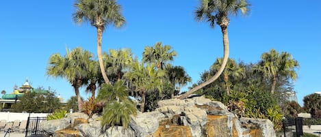 Outdoor pool, pool umbrellas, pool loungers