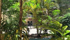 A lush indoor garden with a variety of tropical plants, a small water feature, and a building with balconies in the background. - Wyndham I-Drive Avanti Resort & Conference Center (Orlando)