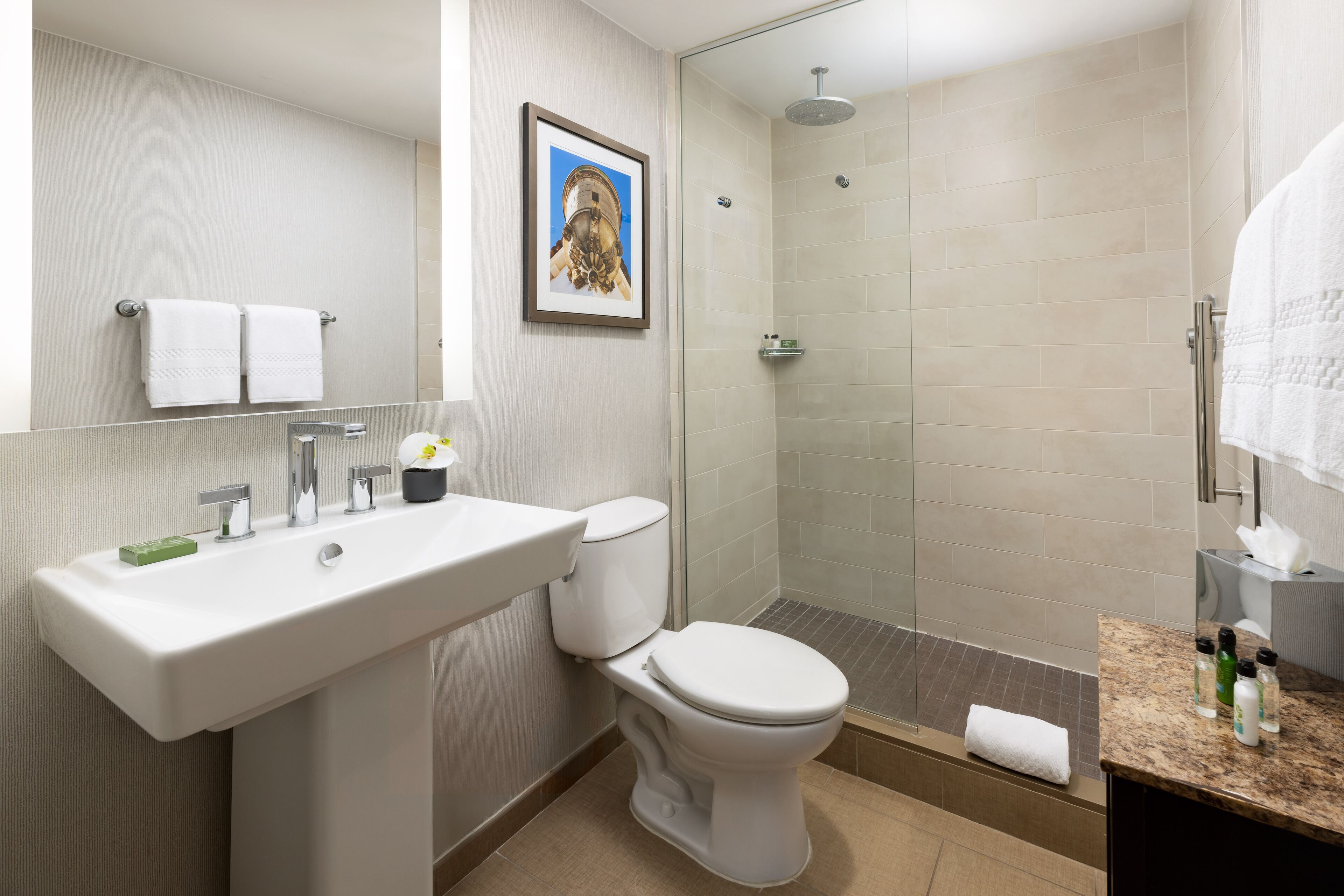 A modern bathroom with a sink, toilet, and shower.