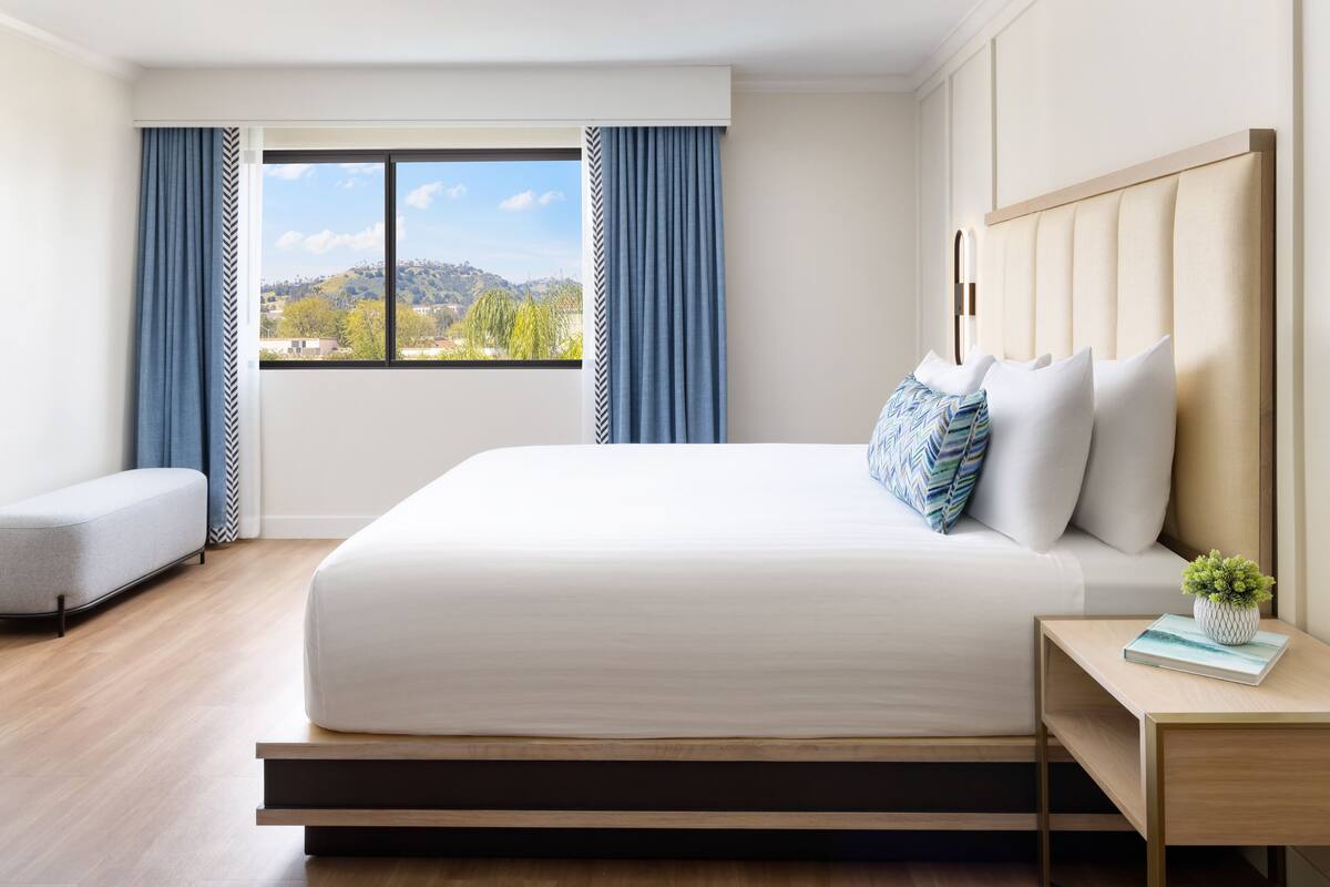 A modern hotel room with a large bed, a bedside table with a plant, and a view of the outdoors.