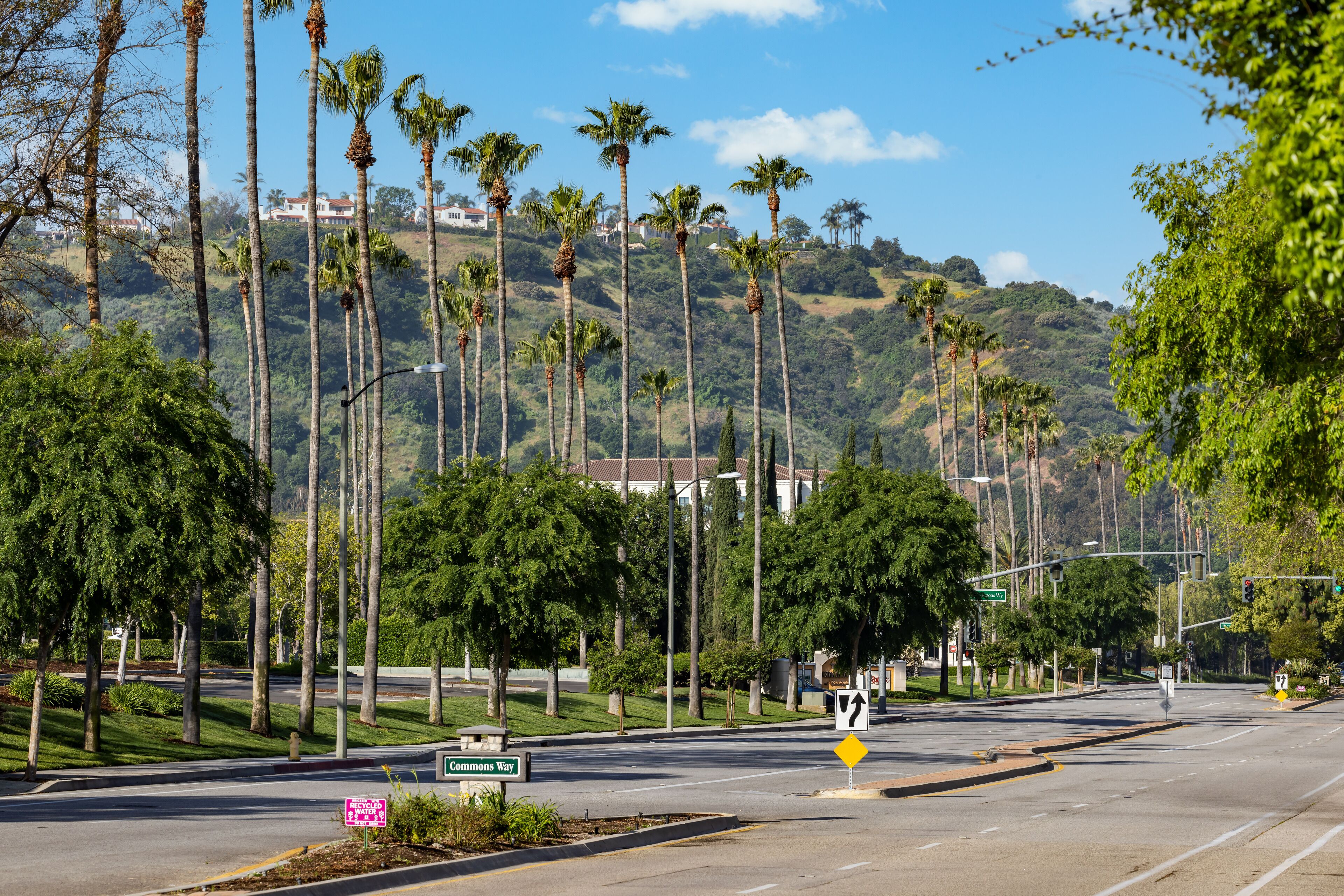 Una carretera bordeada de palmeras con una colina al fondo.