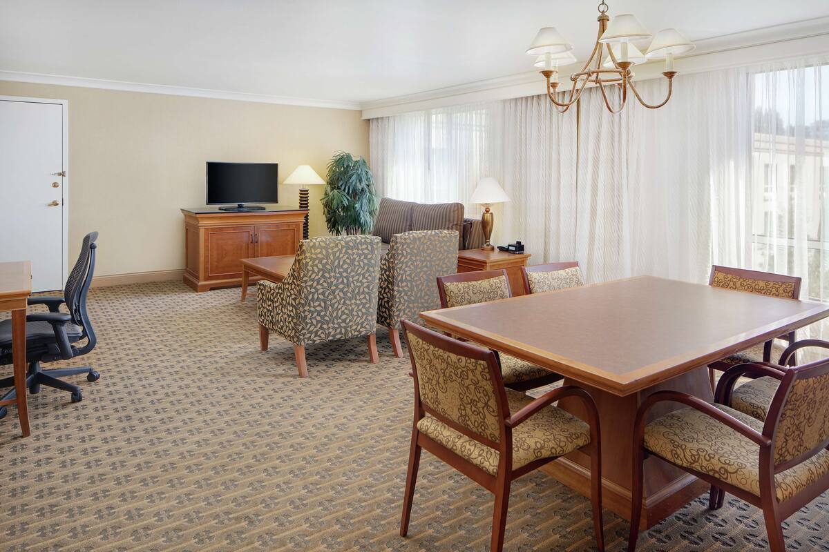 Une chambre d’hôtel avec un coin repas, une télévision, une plante et un lustre.