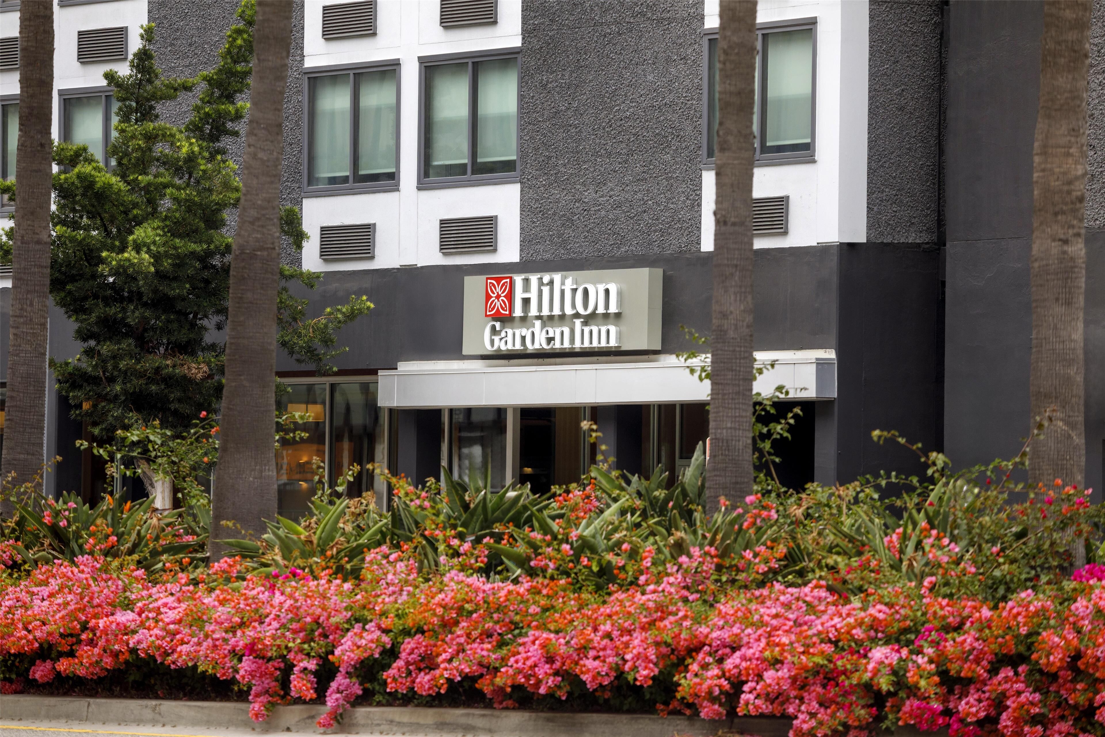 Un hôtel Hilton Garden Inn doté d’une façade moderne, de grandes fenêtres et d’un jardin bien entretenu agrémenté de fleurs roses à l’avant.