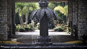 Fountain - The Suites at Magic Tree (Kissimmee)