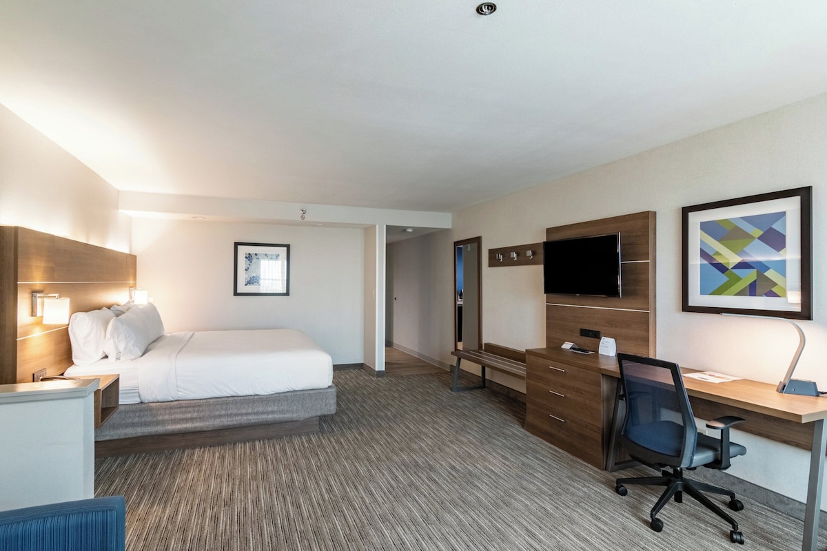 Suite, 1 King Bed with Sofa bed | In-room safe, desk, laptop workspace, blackout drapes
