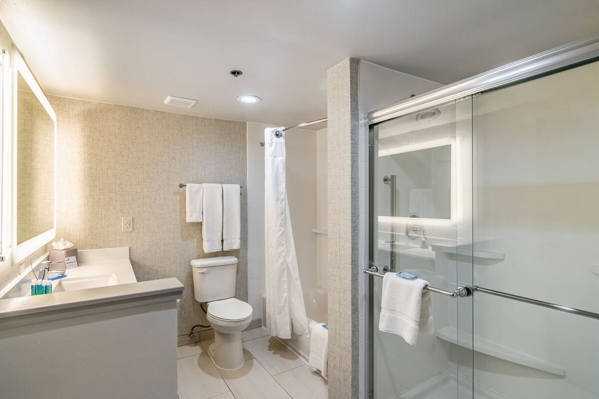 A modern bathroom with a glass shower enclosure, a toilet, and a sink with a mirror.