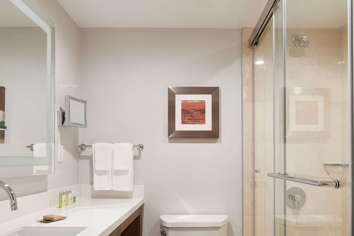 Combined shower/tub, free toiletries, hair dryer, towels