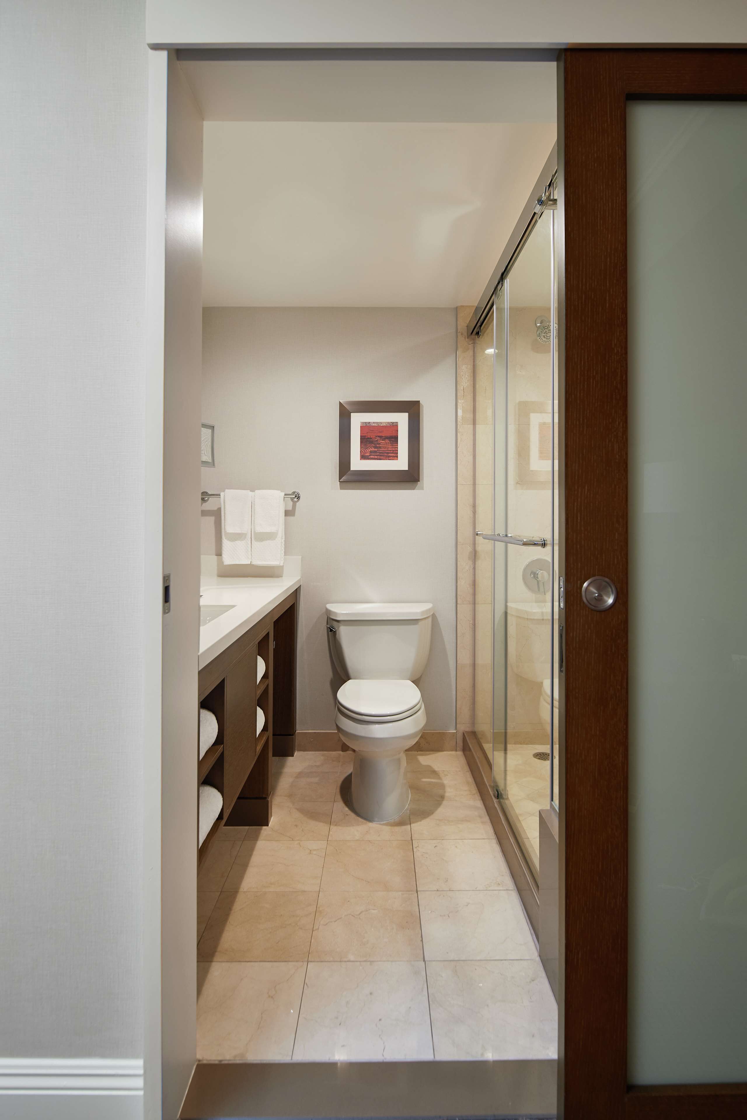 combined shower/bathtub, free toiletries, hair dryer, towels