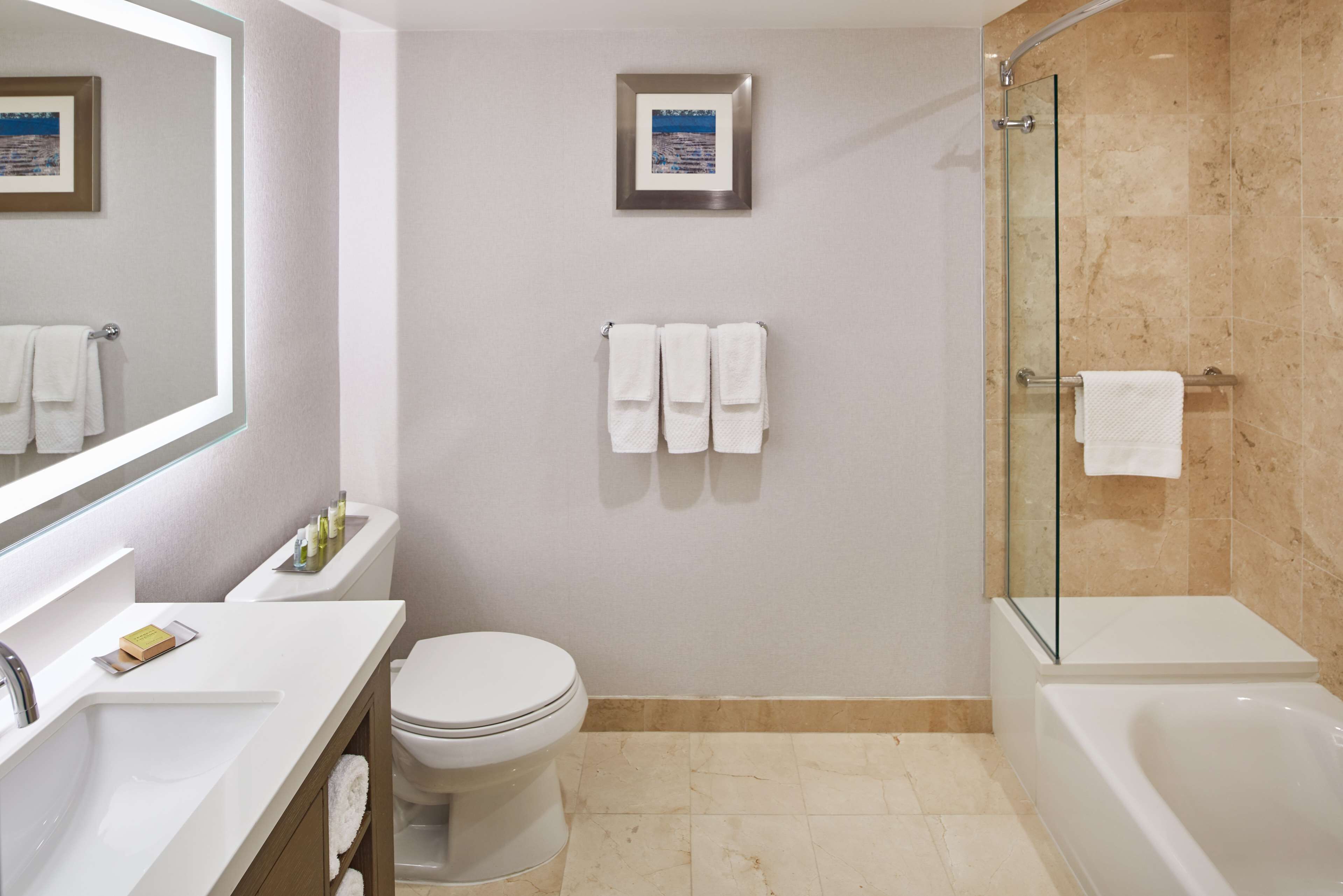 suite, 1 king bed, non smoking | 1 bedroom, premium bedding, in-room safe, blackout curtains