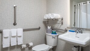 A bathroom with a toilet, handrails, a sink, and a towel rack. - Holiday Inn Express Atlanta Airport - College Park by IHG (College Park)