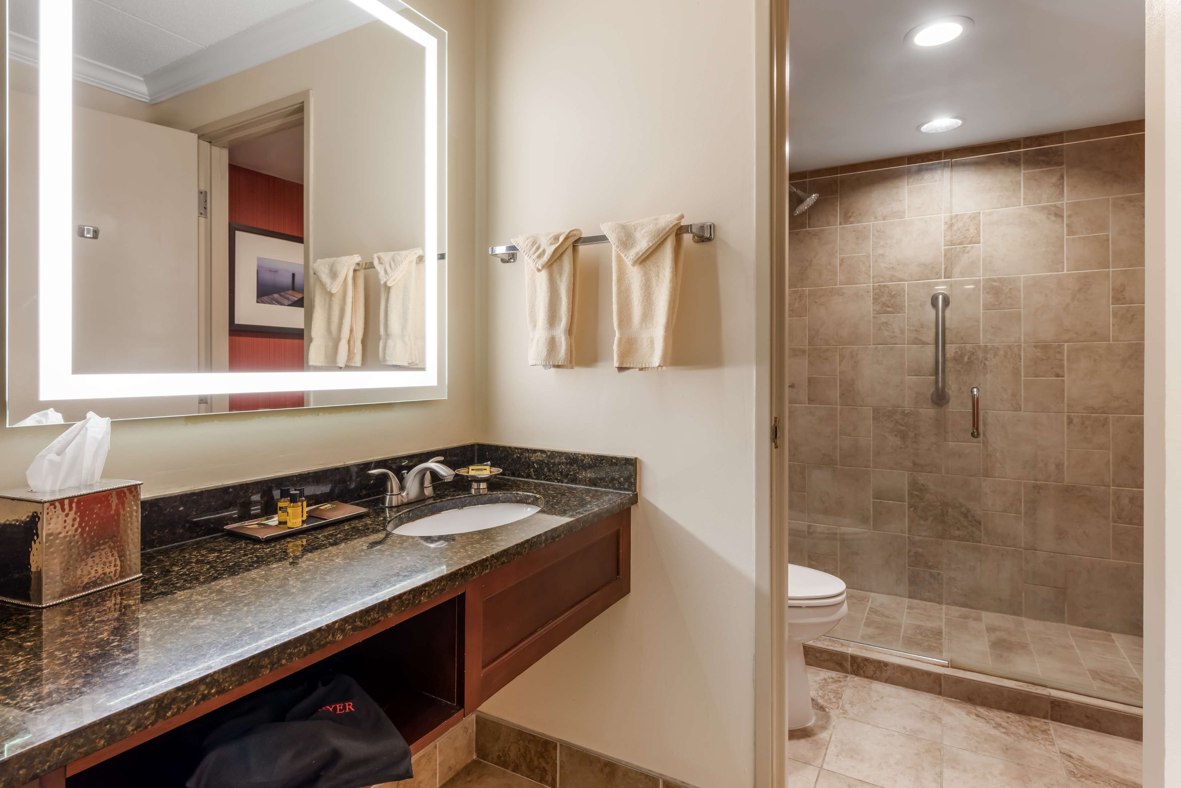 A bathroom with a sink, mirror, towel rack, shower, and toilet.
